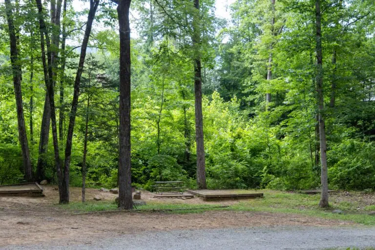 Ways to stay 22 Primitive Tent Site