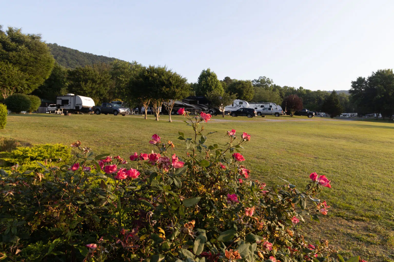 Ways to stay 4 Open Field View Raccoon Mountain