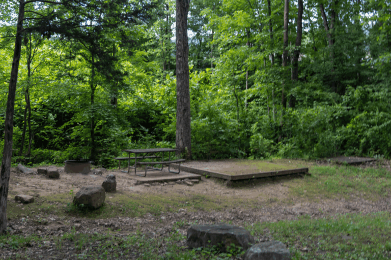 Rates 23 Primitive Tent Site
